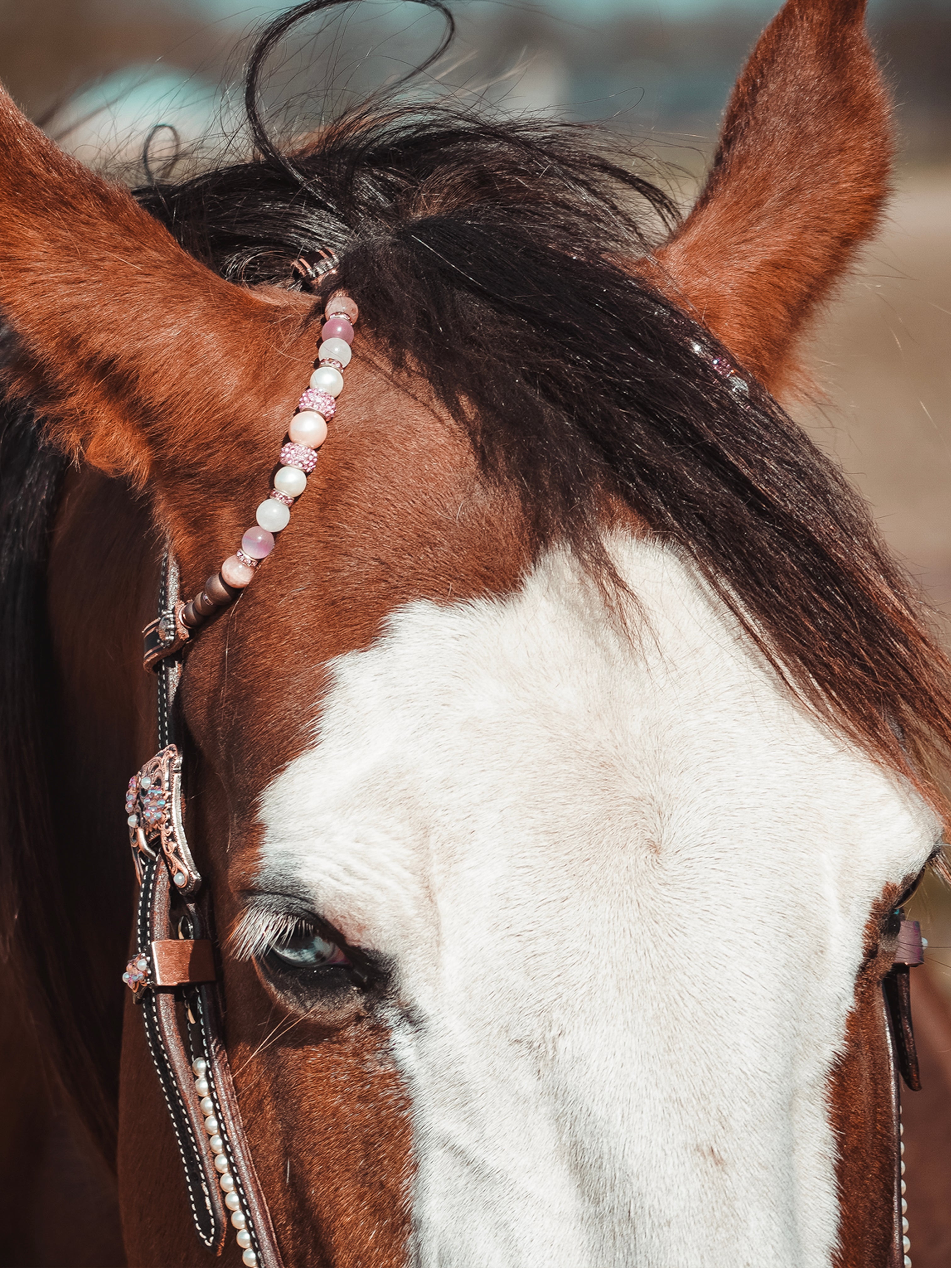 Eye-catcher Dark Chestnut Show Bridle - Pink & Swarovski pearls