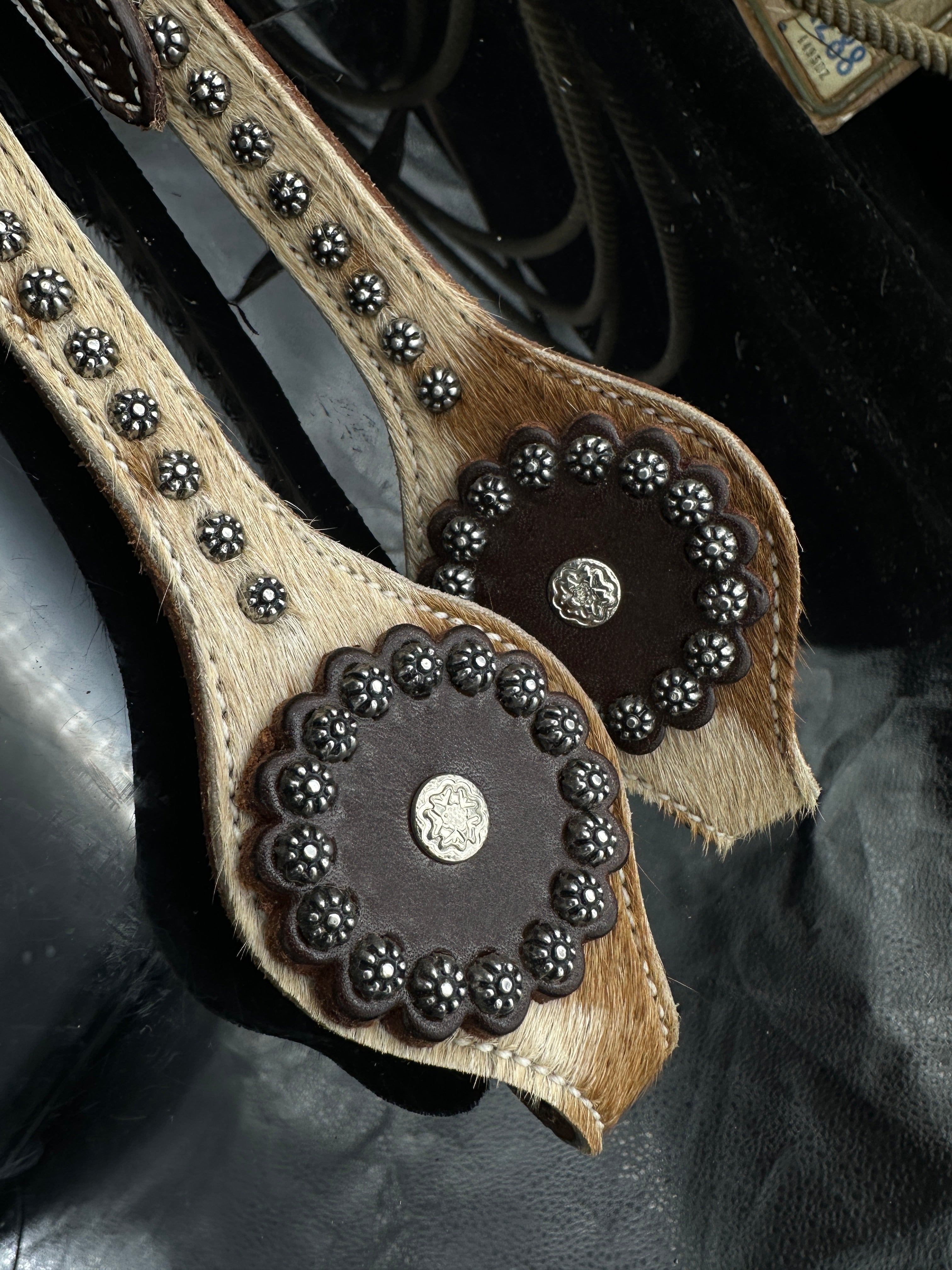 Basic | Dark Chestnut | light Cowhide studs hoofdstel